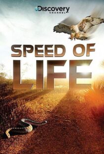 دانلود مستند شکار و بقا Speed of Life 2010